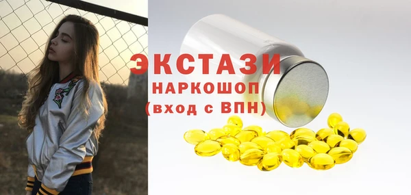 сатива Каменка