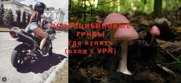 бошки Касимов