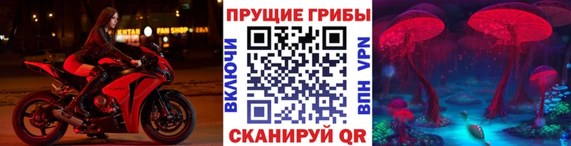 Псилоцибиновые грибы Magic Shrooms  где продают наркотики  Лагань 